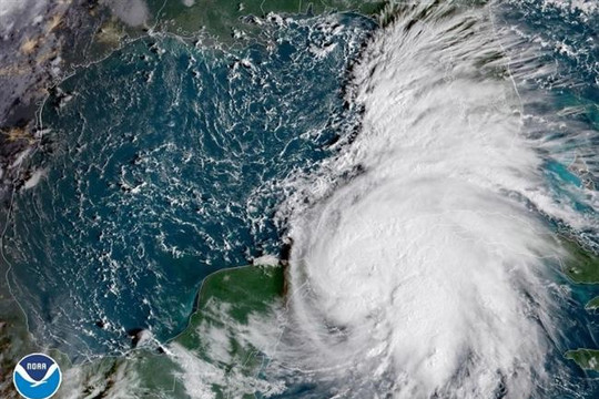 Mỹ: Bang Florida chuẩn bị ứng phó bão Michael mạnh nhất trong 10 năm qua