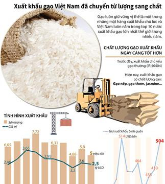 Xuất khẩu gạo Việt Nam đã chuyển từ lượng sang chất