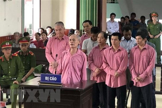 Tuyên phạt 81 năm tù với 9 bị cáo trong vụ phá hơn 64ha rừng ở Bình Định