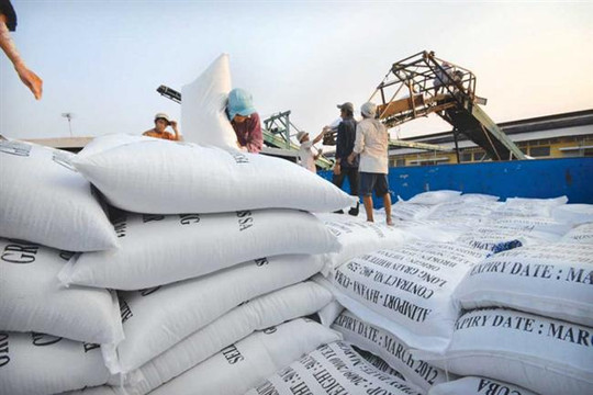 Xuất khẩu gạo: Đổi chất, đa dạng hóa thị trường