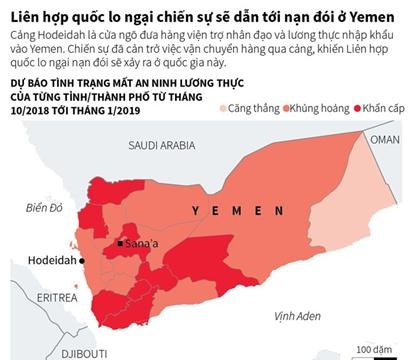 Liên hợp quốc lo ngại chiến sự dẫn tới nạn đói ở Yemen