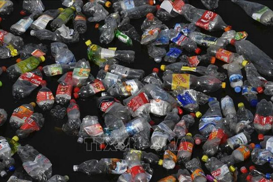 LHQ cảnh báo năm 2050 đại dương sẽ nhiều rác thải nhựa hơn cá biển
