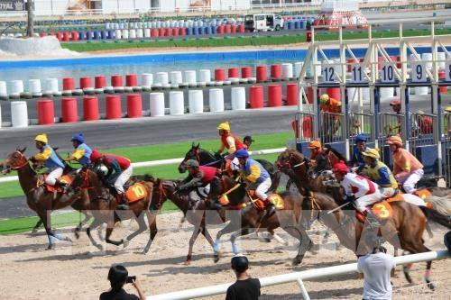 Bổ sung dự án trường đua ngựa vào Quy hoạch thành phố Hà Nội