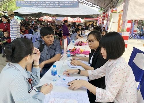 60% sinh viên chọn sai ngành học