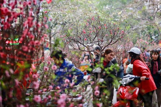 Hà Nội tổ chức 64 chợ hoa xuân phục vụ Tết Nguyên đán