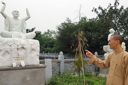 Điều tra, làm rõ hành vi phá hoại tại chùa Khánh Long (Đông Anh)