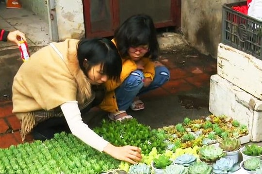 Đổi giấy lấy cây: Hành động nhỏ, ý nghĩa lớn