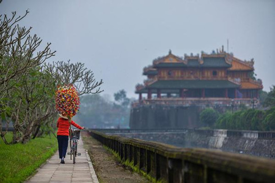 Hình ảnh độc đáo về làng hoa giấy lâu đời ở Huế