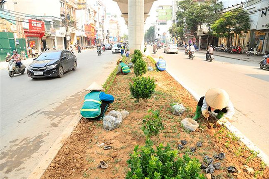 Công nhân trồng hoa dưới gầm đường sắt đô thị Nhổn - ga Hà Nội