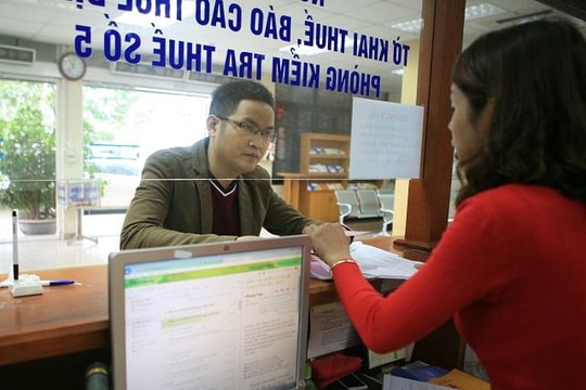 Thanh tra thuế bỏ lọt nhiều sai phạm