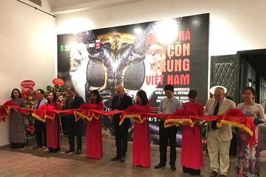 Kết nối con người gần gũi với thiên nhiên