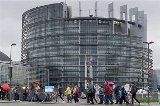 Hà Lan và Anh tiến hành bỏ phiếu bầu Nghị viện châu Âu 2019