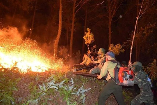 Thủ tướng Chính phủ chỉ đạo cấp bách phòng cháy, chữa cháy rừng
