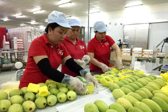 Nông sản Việt Nam: Nỗ lực đạt mục tiêu xuất khẩu