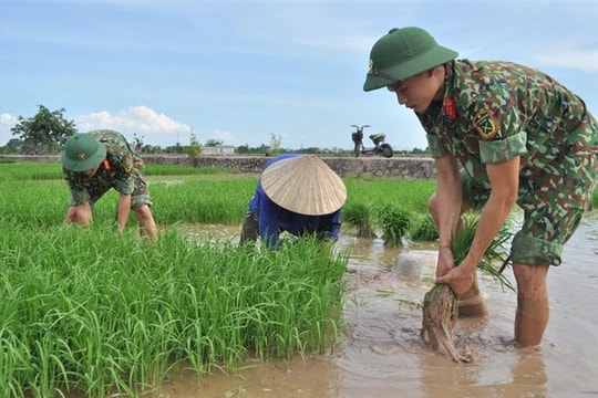 Bộ đội về làng