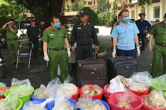 Hải quan thành phố Hồ Chí Minh bắt giữ nhiều vụ buôn bán ma túy trái phép