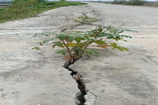 Hoằng Hóa (Thanh Hóa): Tuyến đê trăm tỷ vừa đưa vào sử dụng đã xuất hiện nhiều vết nứt