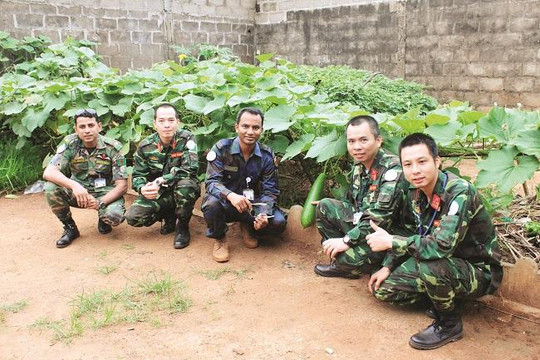 Bộ đội Việt Nam 'phủ xanh' đất cằn ở Nam Sudan