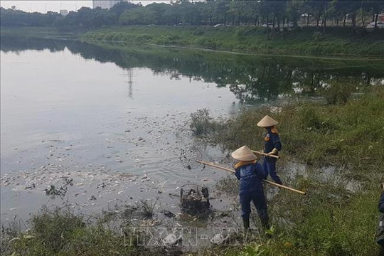 Cá chết tại hò Yên Sở, Hà Nội