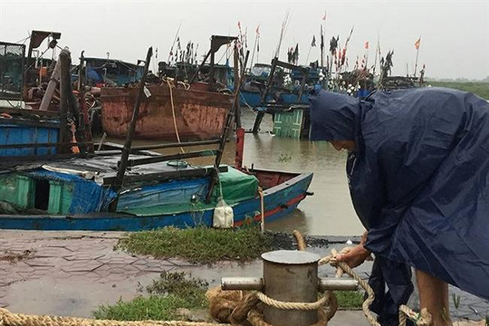Nghệ An và Hà Tĩnh ra công điện chỉ đạo ứng phó với bão Podul