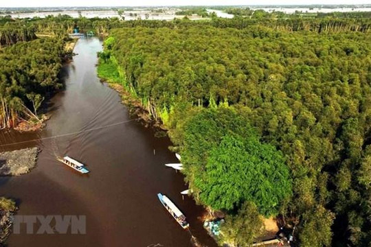 Thủ tướng chỉ thị đẩy mạnh phát triển bền vững Đồng bằng sông Cửu Long