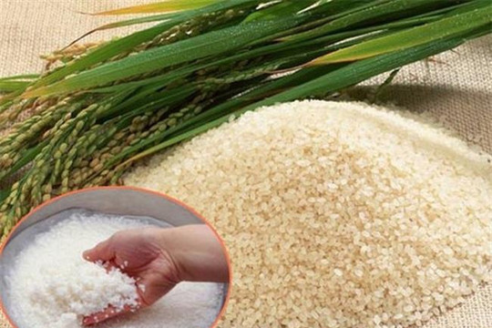 Người bán gạo không bao giờ hé lộ điều này: Cách chọn gạo mới thơm ngon, không ngâm chất tẩy trắng không hóa chất