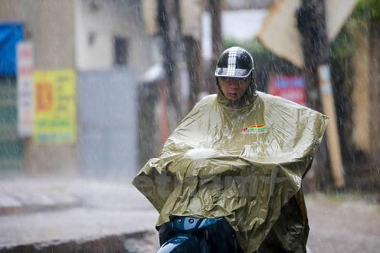 Xuất hiện vùng áp thấp trên Biển Đông, một số tỉnh có mưa rất to
