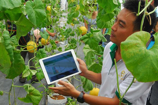 Giải pháp phát triển bền vững doanh nghiệp nông nghiệp