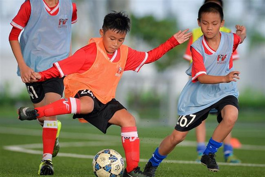 PVF tuyển sinh khóa 12, tìm kiếm tài năng bóng đá trẻ.
