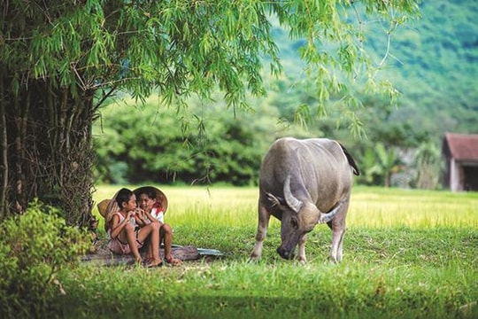 Lưng chừng tháng Bảy