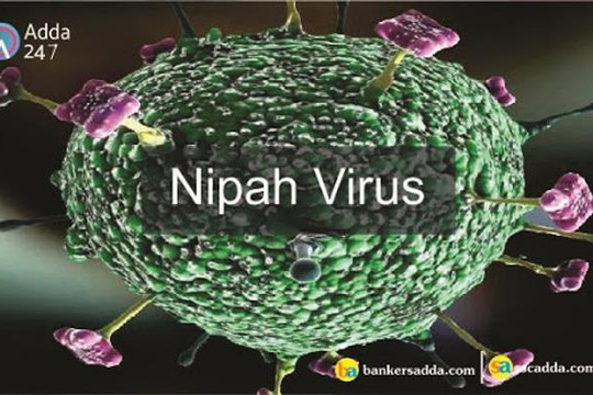 WHO: Virus Nipah có thể gây ra đại dịch tiếp theo