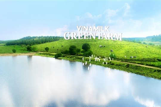 Chuyện ''hậu trường'' tìm hiểu ''lý lịch'' của dòng sữa tươi Green Farm mới đang khiến các mẹ tò mò