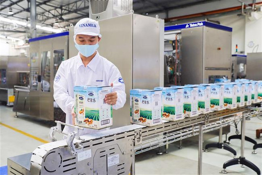 Hệ thống ''khủng'' 13 nhà máy là nội lực giúp Vinamilk duy trì vị trí dẫn đầu thị trường sữa nhiều năm liền