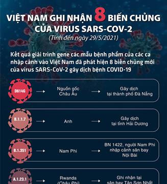 (Infographic) Việt Nam ghi nhận 8 biến chủng của virus SARS-CoV-2