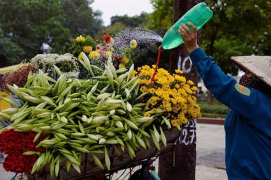Những xe hoa chở mùa qua phố