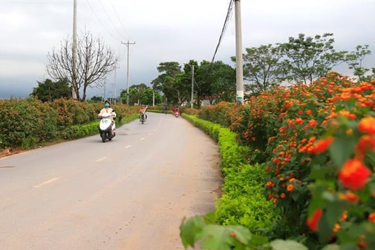 Những ''mô hình xanh'' ở làng quê Hà Nội