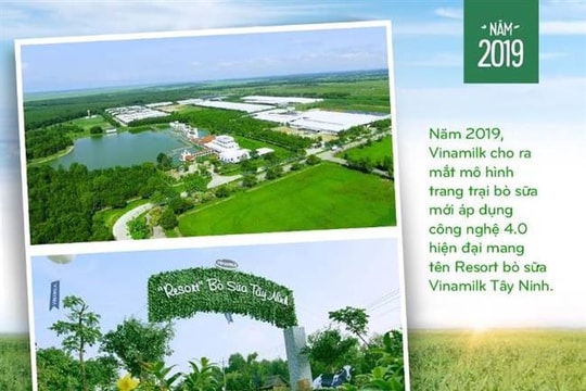 Vinamilk: 15 năm xây hệ thống trang trại bò sữa với “bộ sưu tập” tiêu chuẩn quốc tế