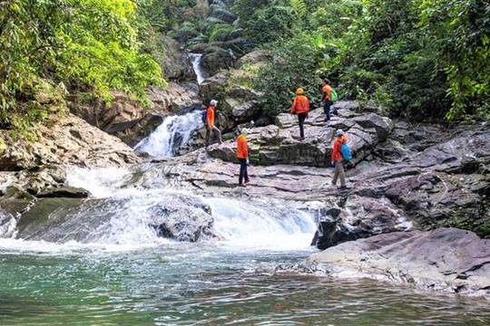 Quảng Bình: Khám phá tour trải nghiệm thiên nhiên hùng vĩ và hiếm có ở Việt Nam