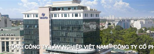 Lãnh đạo, trưởng phòng của Tổng Công ty Lâm nghiệp Việt Nam bị tố lừa đảo!