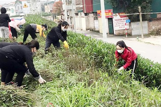 Diện mạo mới cho những tuyến đê