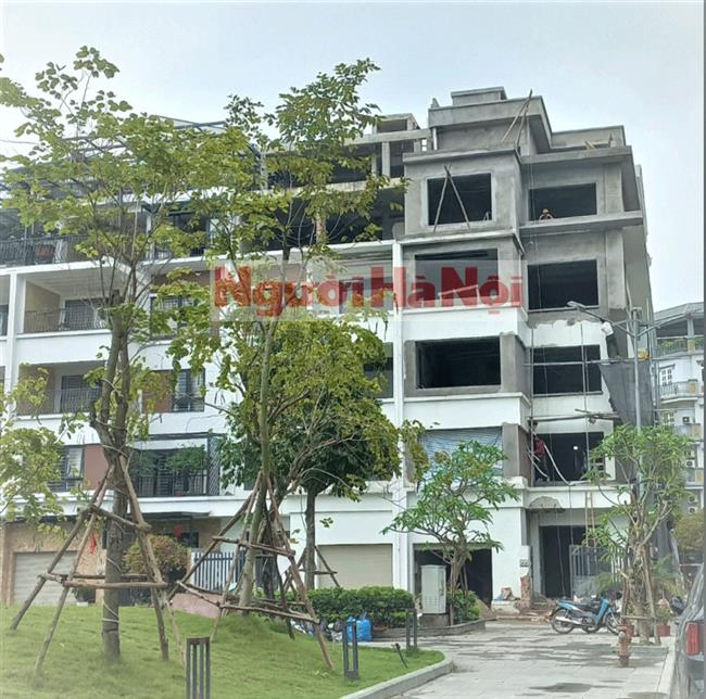 Phường Xuân La có “phớt lờ” Chỉ đạo của Thành ủy Hà Nội tại dự án nhà ở thấp tầng Romantic Park?