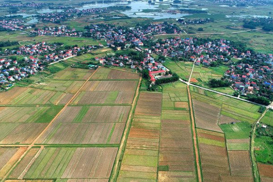 Huyện Sóc Sơn: sắp đấu giá hơn 93.000m2 đất sản xuất nông nghiệp