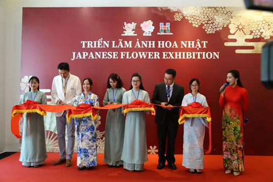 Triển lãm hoa Nhật tại Hà Nội: Độc đáo, rực rỡ sắc màu bốn mùa hoa Nhật