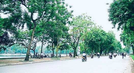 UBND quận Hai Bà Trưng: Đề xuất tối 30/12 khai trương không gian đi bộ khu phố Trần Nhân Tông