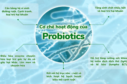 Hệ lợi khuẩn đường ruột ngừa Salmonella ra sao 