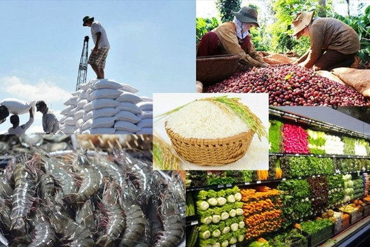 5 thành tựu ấn tượng của ngành Nông nghiệp Việt Nam năm 2022