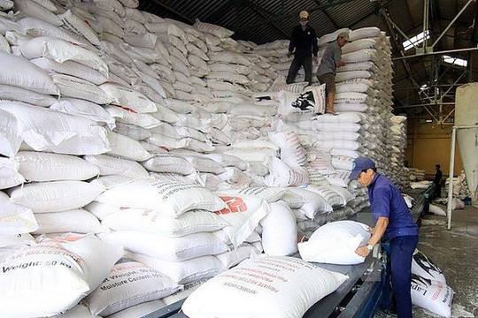 Xuất cấp gạo cho 2 tỉnh dịp Tết Nguyên đán Quý Mão và giáp hạt năm 2023