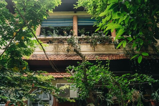 Ngôi nhà 80 năm tuổi, nép mình giữa ồn ào phố cổ Hà Nội