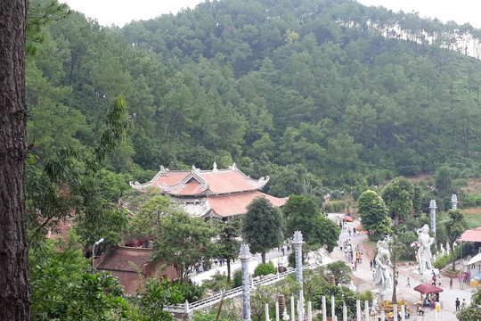 Địa Tạng Phi Lai - Ngôi chùa nằm ẩn dật giữa rừng thông xanh mướt