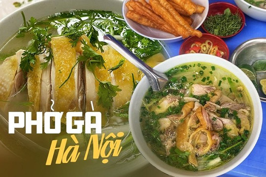 10 quán phở gà ngon ở Hà Nội: Dân sành ăn ai cũng biết